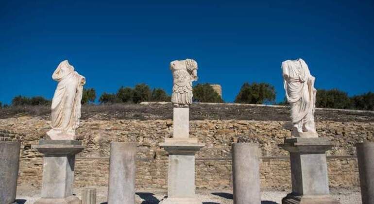 Imagen del tour: Free Tour por el Yacimiento Arqueológico de Torreparedones