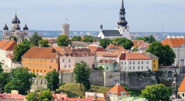 Imagen del tour: Casco Antiguo de Tallinn - Free Tour