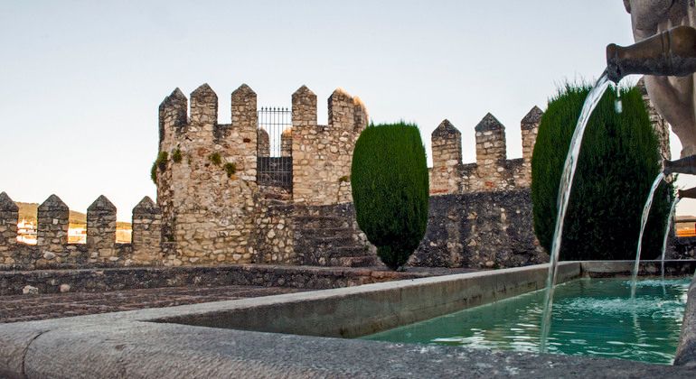 Imagen del tour: Visita al Castillo de los Condes de Cabra