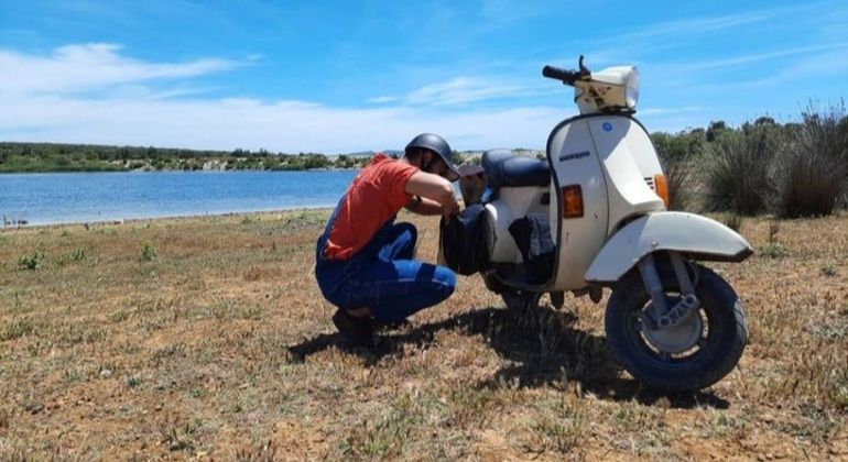 Imagen del tour: Un Día como un Lugareño en Hammamet