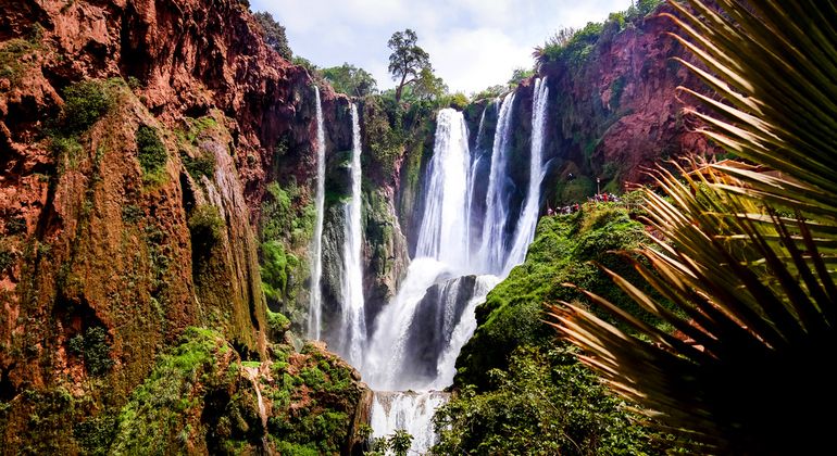 Imagen del tour: Aventura en las Cascadas de Ouzoud en Marruecos