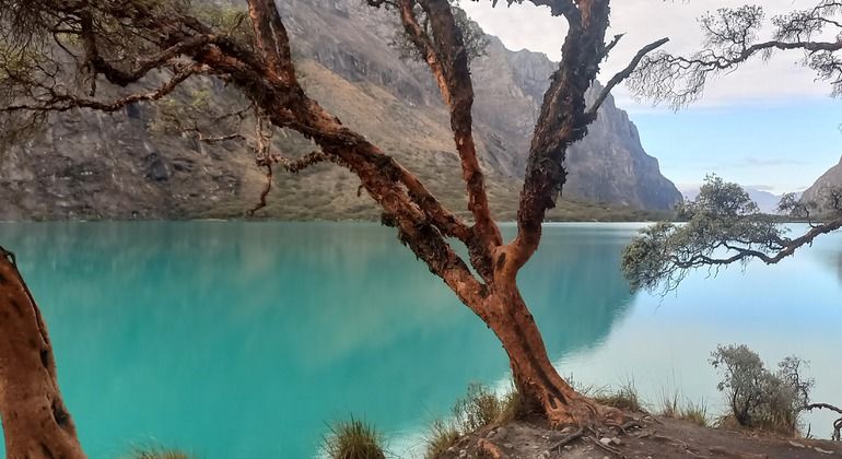 Imagen del tour: Parque Nacional Huascarán: Tour a la Laguna Llanganuco