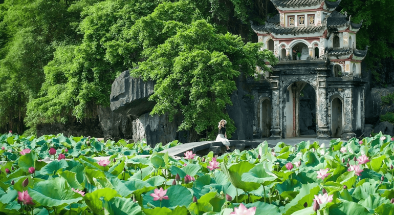 Imagen del tour: Free Tour desde Ninh Binh a la Pagoda de Bich Dong y la Cueva de Mua