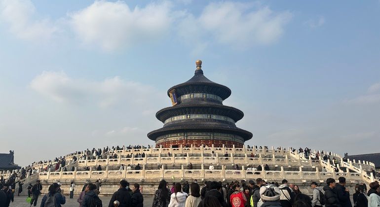 Imagen del tour: Descubra las Maravillas del Templo del Cielo