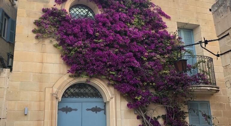 Imagen del tour: Excursión a pie por Mdina y Rabat inc. Entrada a las Catacumbas y la Gruta