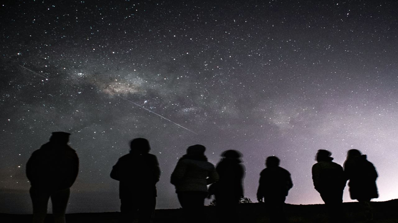 Imagen del tour: Avistaje De Estrellas En Puerto Madryn