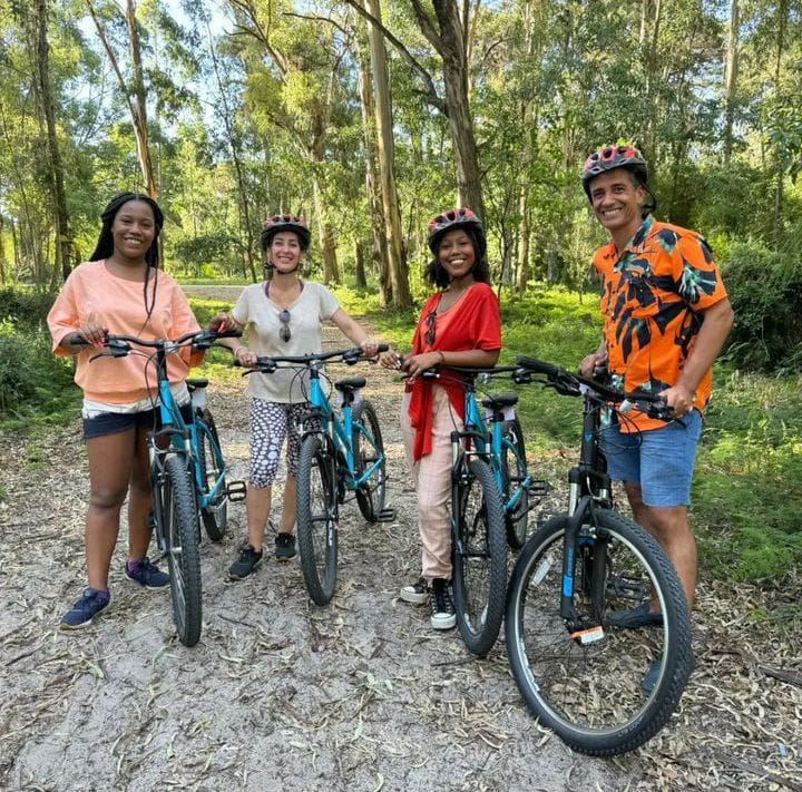 Imagen del tour: Barrio Histórico, Real De San Carlos Y Playas En Bici