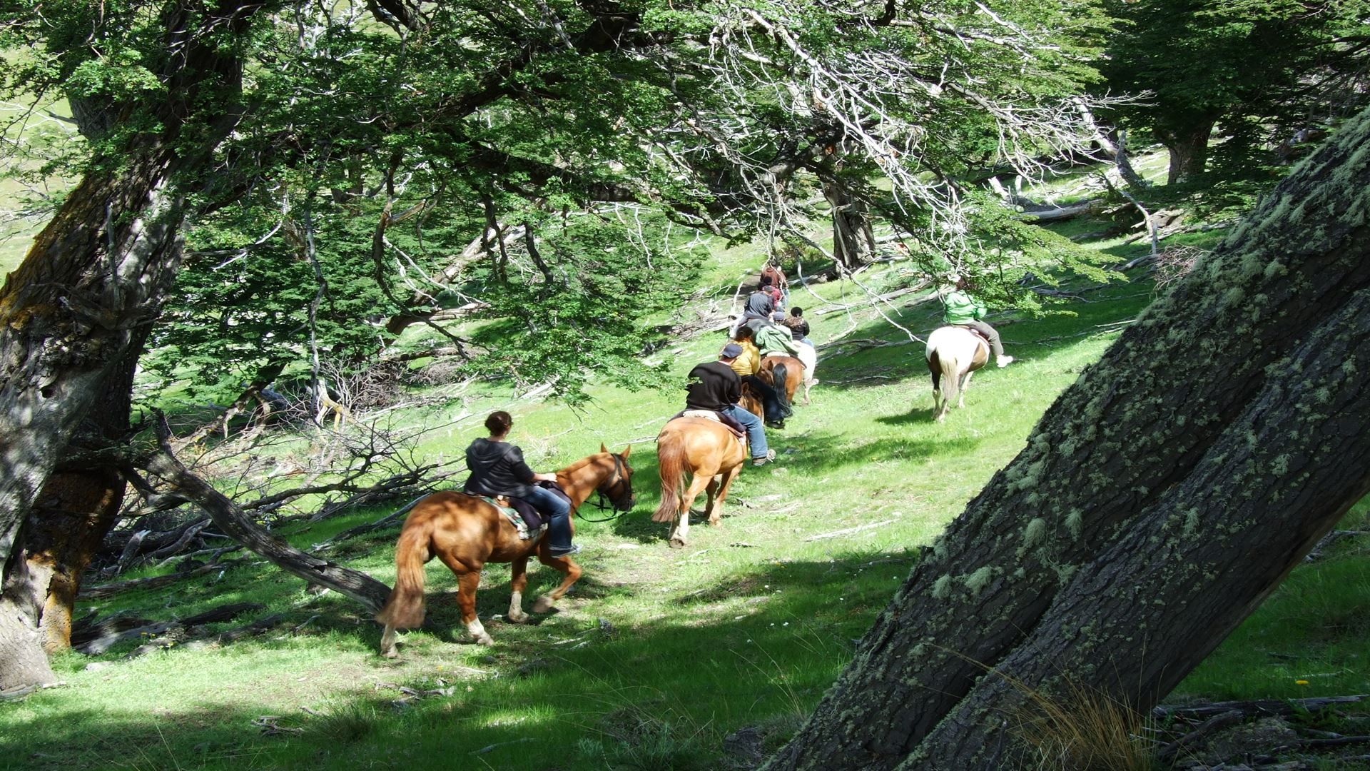 Imagen del tour: Cabalgata En El Cerro Frías