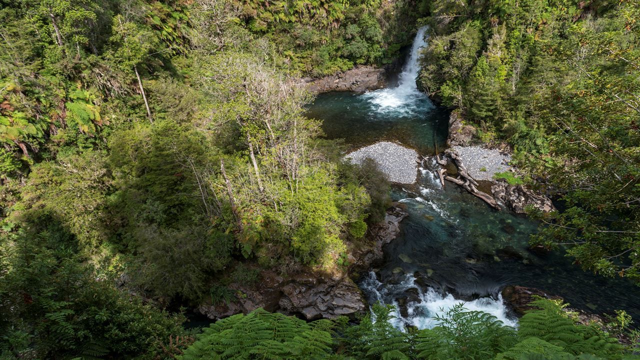 Imagen del tour: Circuito Lago Ranco Aventura Full Day Desde Valdivia