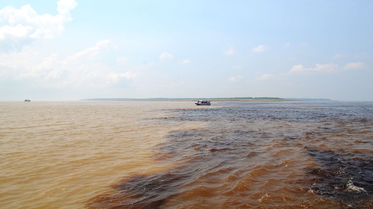 Imagen del tour: Encuentro De Las Aguas + Nado Con Delfines + Visita Aldea Aborigen