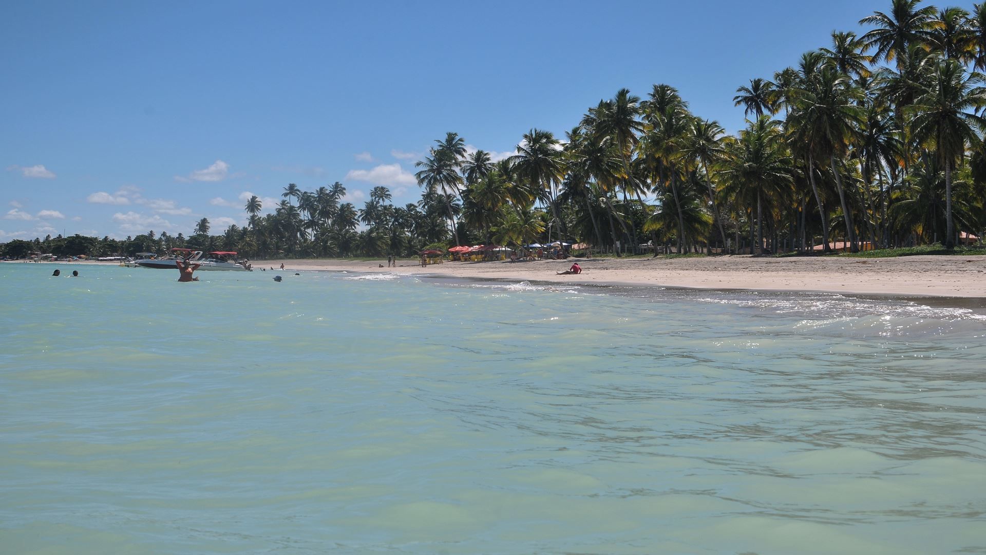 Imagen del tour: Día De Playa En Maragogi Desde Recife