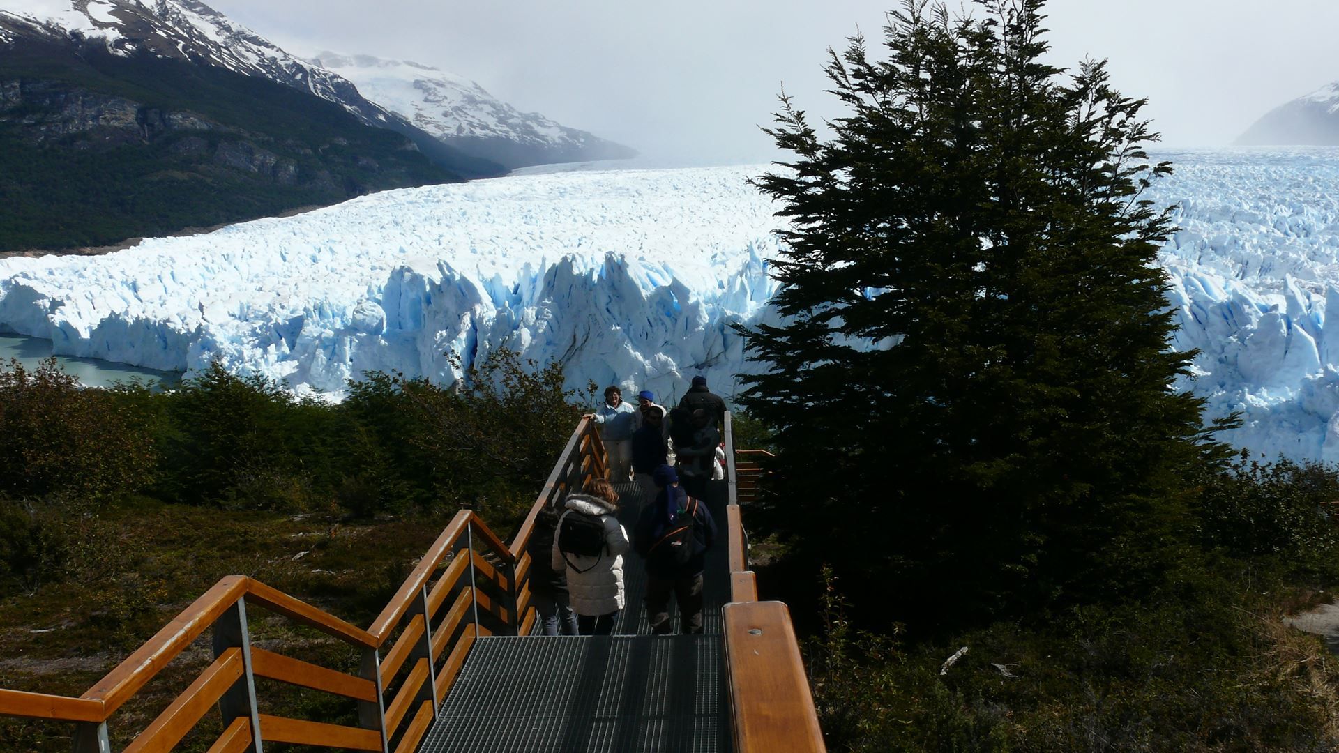 Imagen del tour: Perito Moreno Desde Puerto Natales