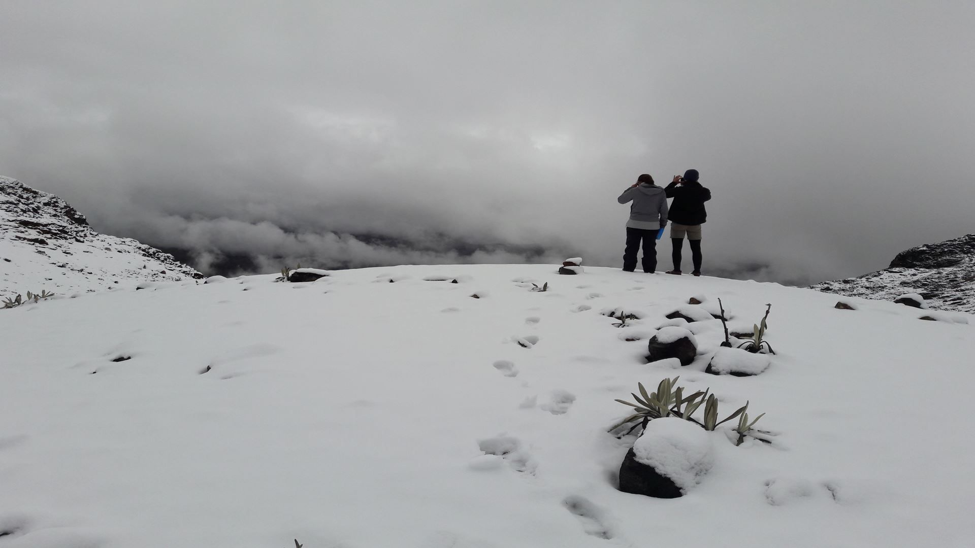 Imagen del tour: Expedición Cima Del Nevado Del Tolima En 4 Días