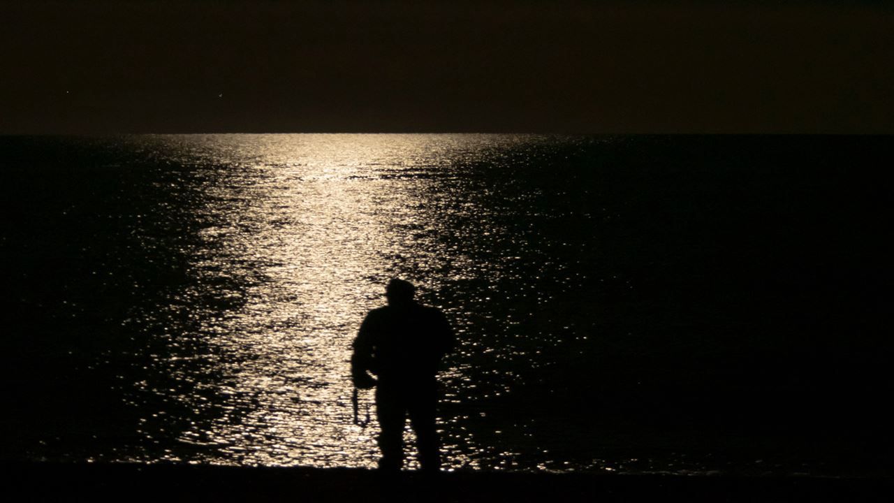 Imagen del tour: Luna Llena Y Ballenas En Puerto Madryn