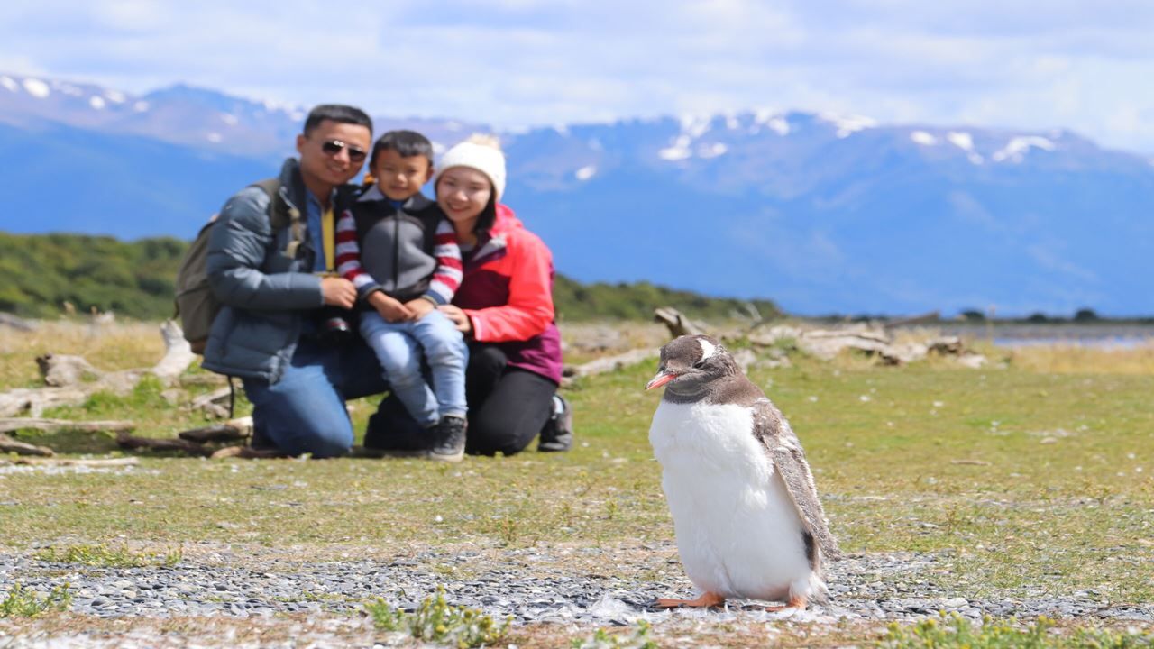 Imagen del tour: Navegación Canal De Beagle Y Caminata Con Pinguinos En Isla Martillo
