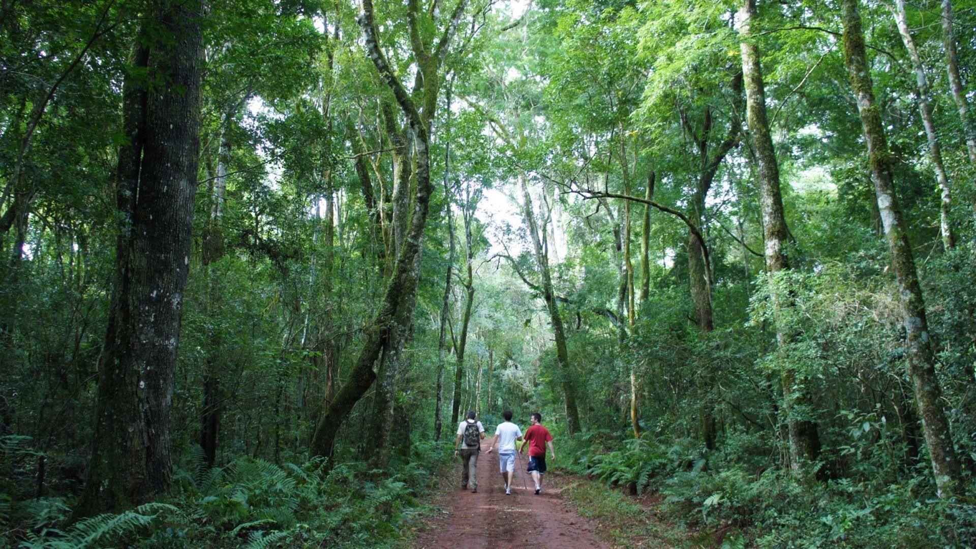 Imagen del tour: Paquete Cataratas Del Iguazu Aventura