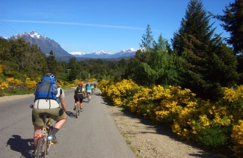 Imagen del tour: Full Day Bike Tour Vuelta Por El Lago Llanquihue.
