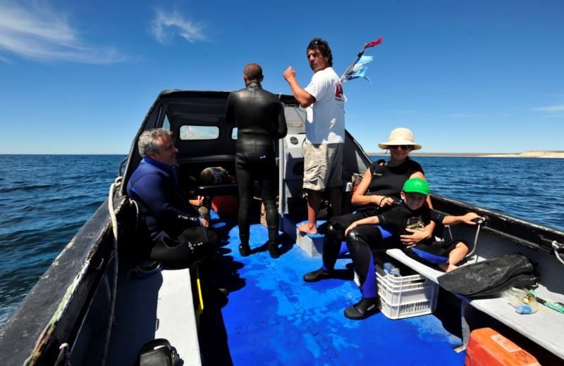 Imagen del tour: Snorkeling Con Lobos Marinos