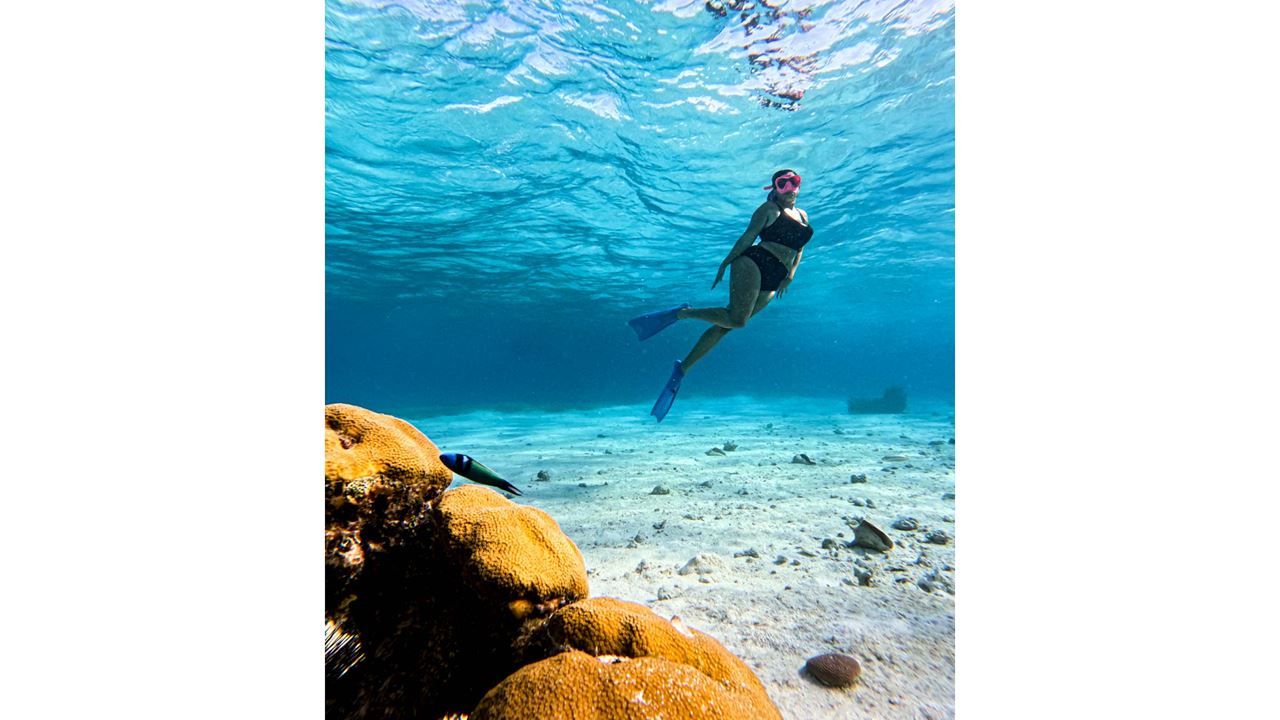 Imagen del tour: Snorkeling En Bahía Mayor