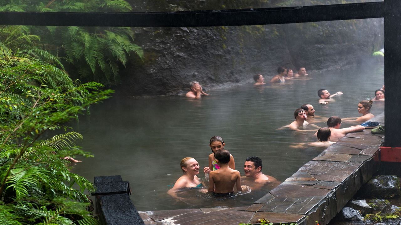 Imagen del tour: Termas Geométricas Desde Valdivia Relax Y Balance Natural