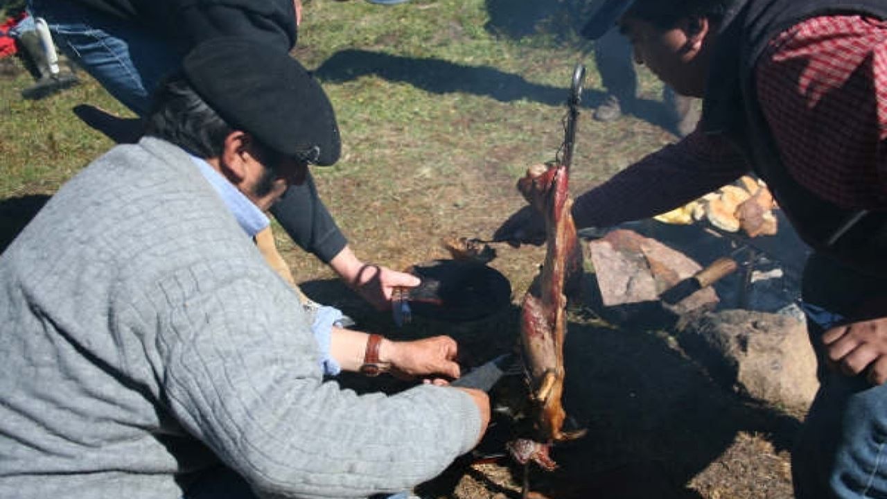 Imagen del tour: Gaucho Patagon Tradiciones Campestres En Coyhaique