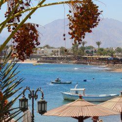 Dahab Portada