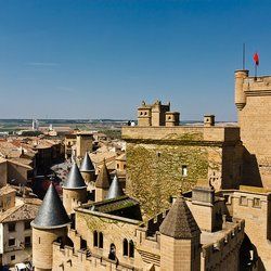 castillo de olite.jpg