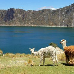 clima-ecuador.jpg